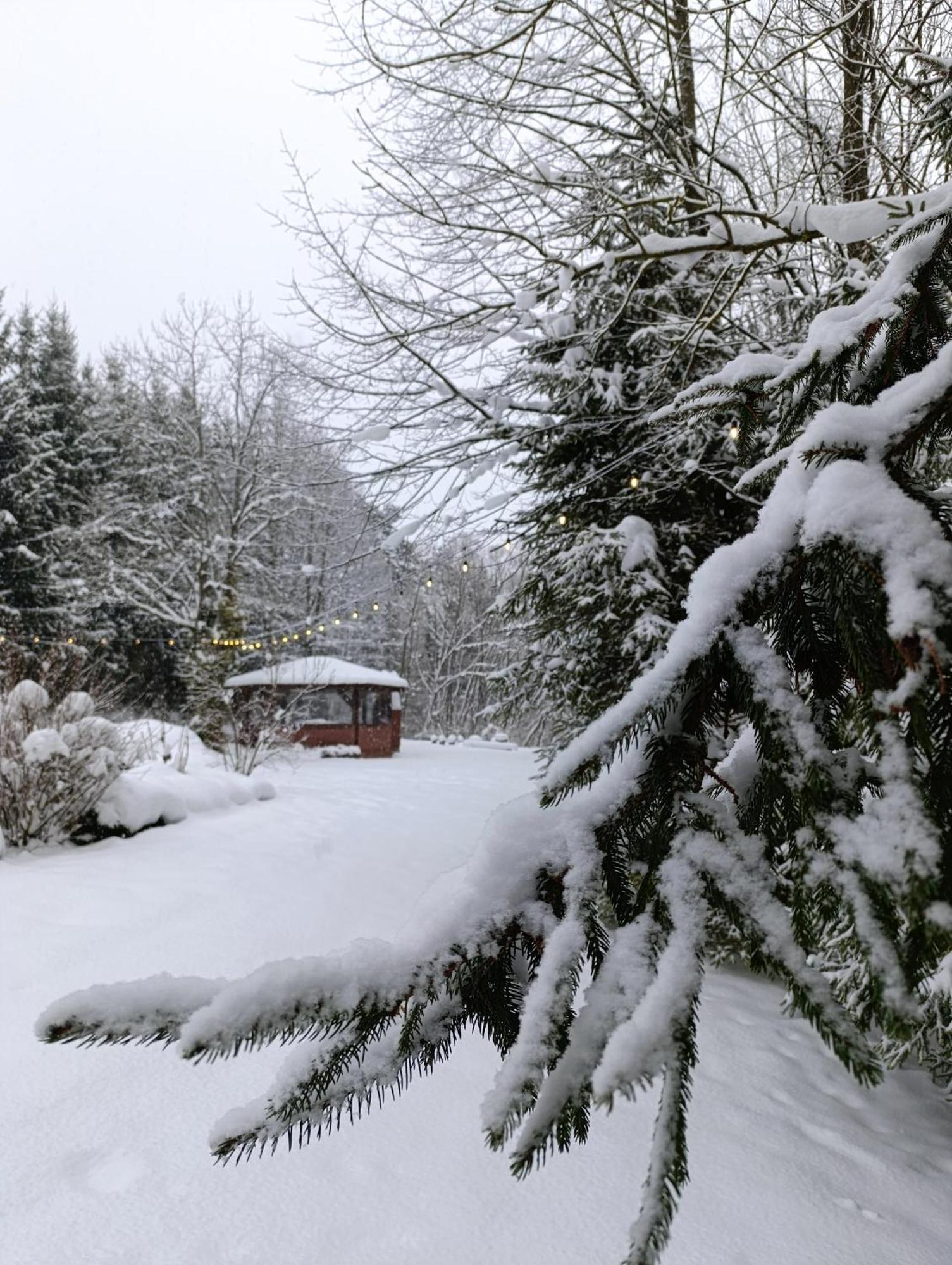 Lesny Dwor Bieszczady - Sauna I Goraca Balia Фермерський будинок